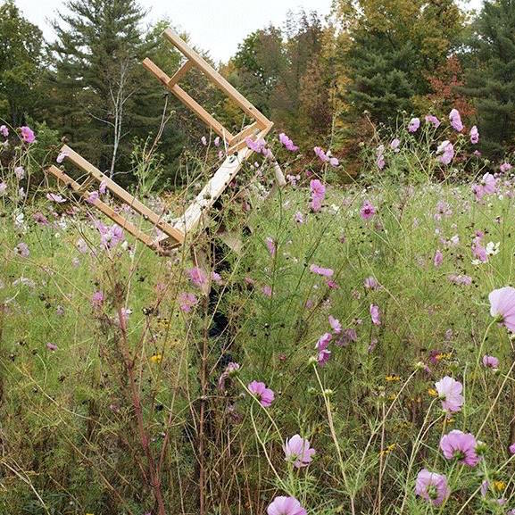 A woman carries a small wooden table overhead through a field of wild flowers